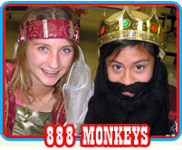 888 Monkeys